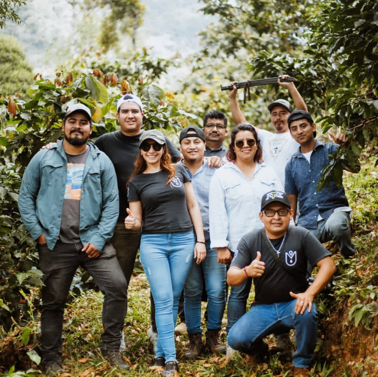Finca Santa Cruz, Café de Especialidad