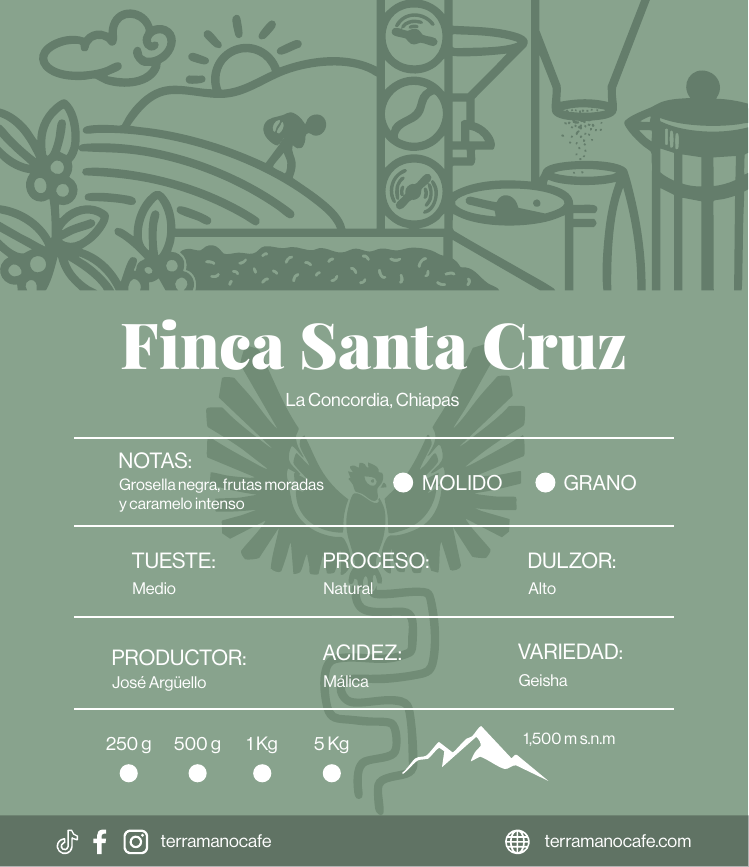 Finca Santa Cruz, Café de Especialidad