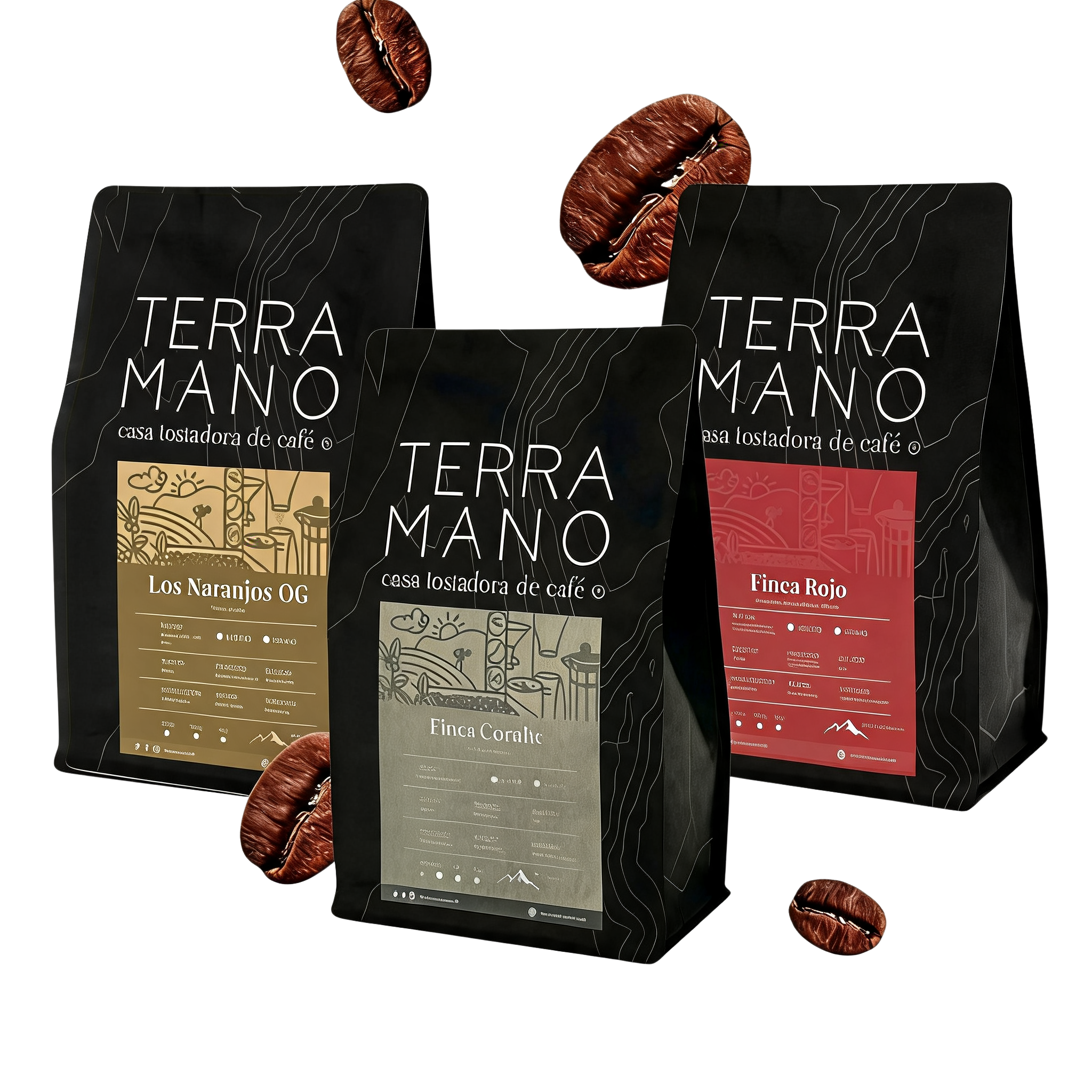 COMBO 1 - TERRA ANIVERSARIO🌟