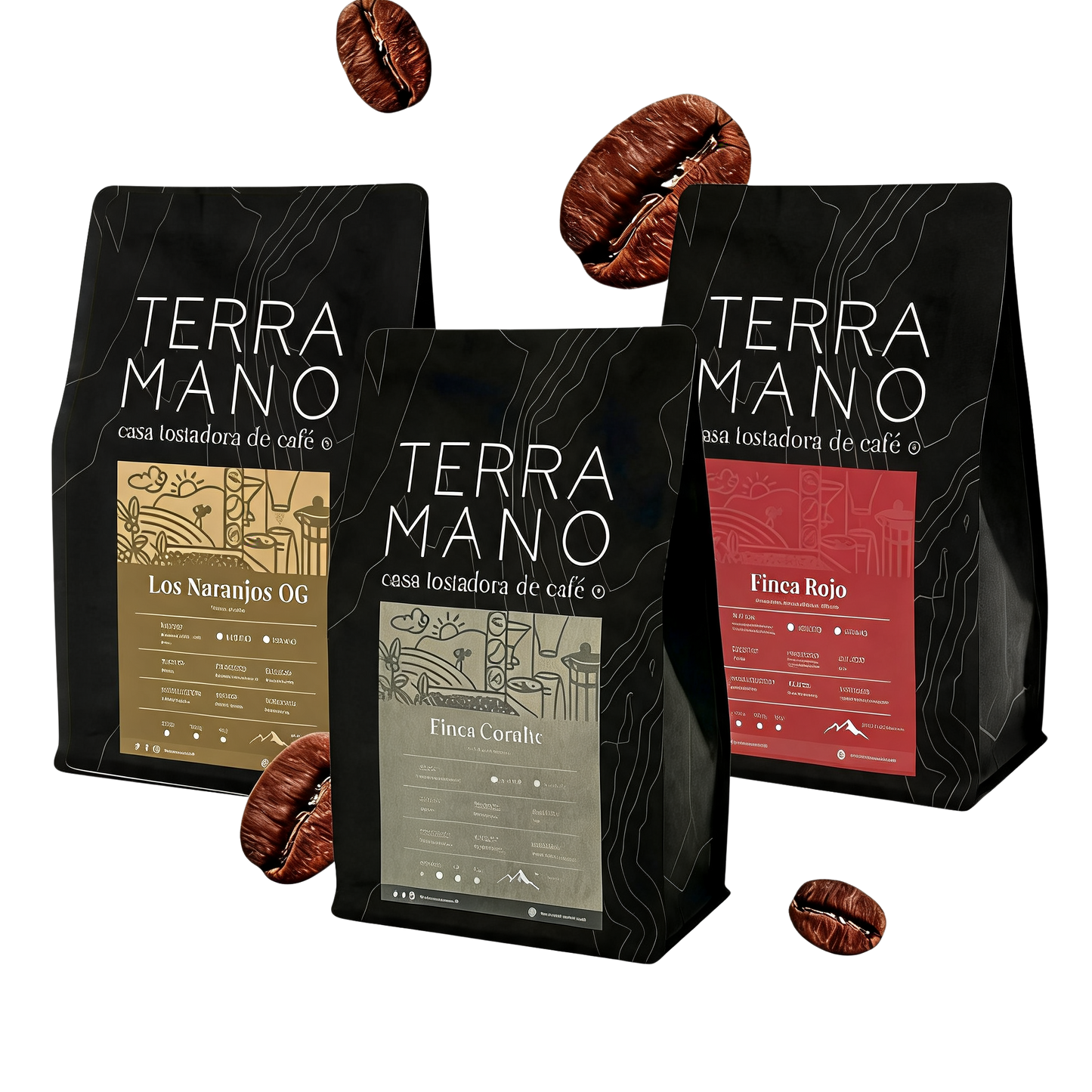 COMBO 1 - TERRA ANIVERSARIO🌟