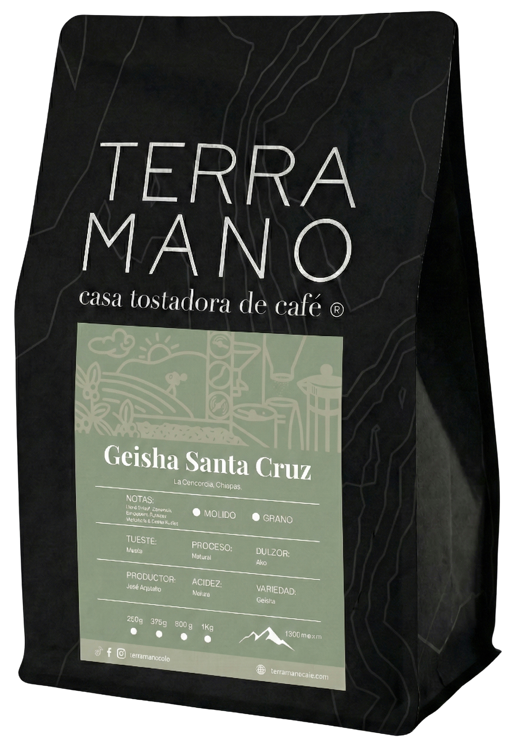 Geisha Santa Cruz, Café de Especialidad