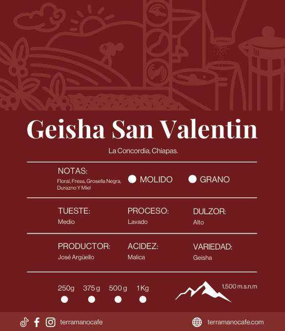 ❤️Geisha San Valentín ❤️, Café de Especialidad