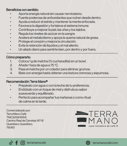 Polvo Té Matcha Orgánico 1 Kg