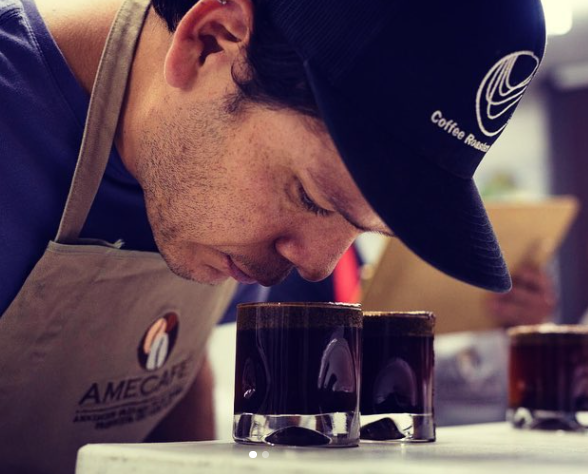 Nayarit Experimental 1, Café de Especialidad