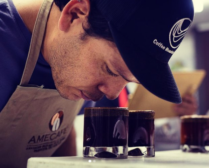 Nayarit Experimental 1, Café de Especialidad