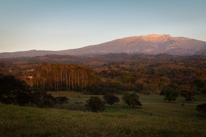 Finca Peña Alta, Café de Especialidad