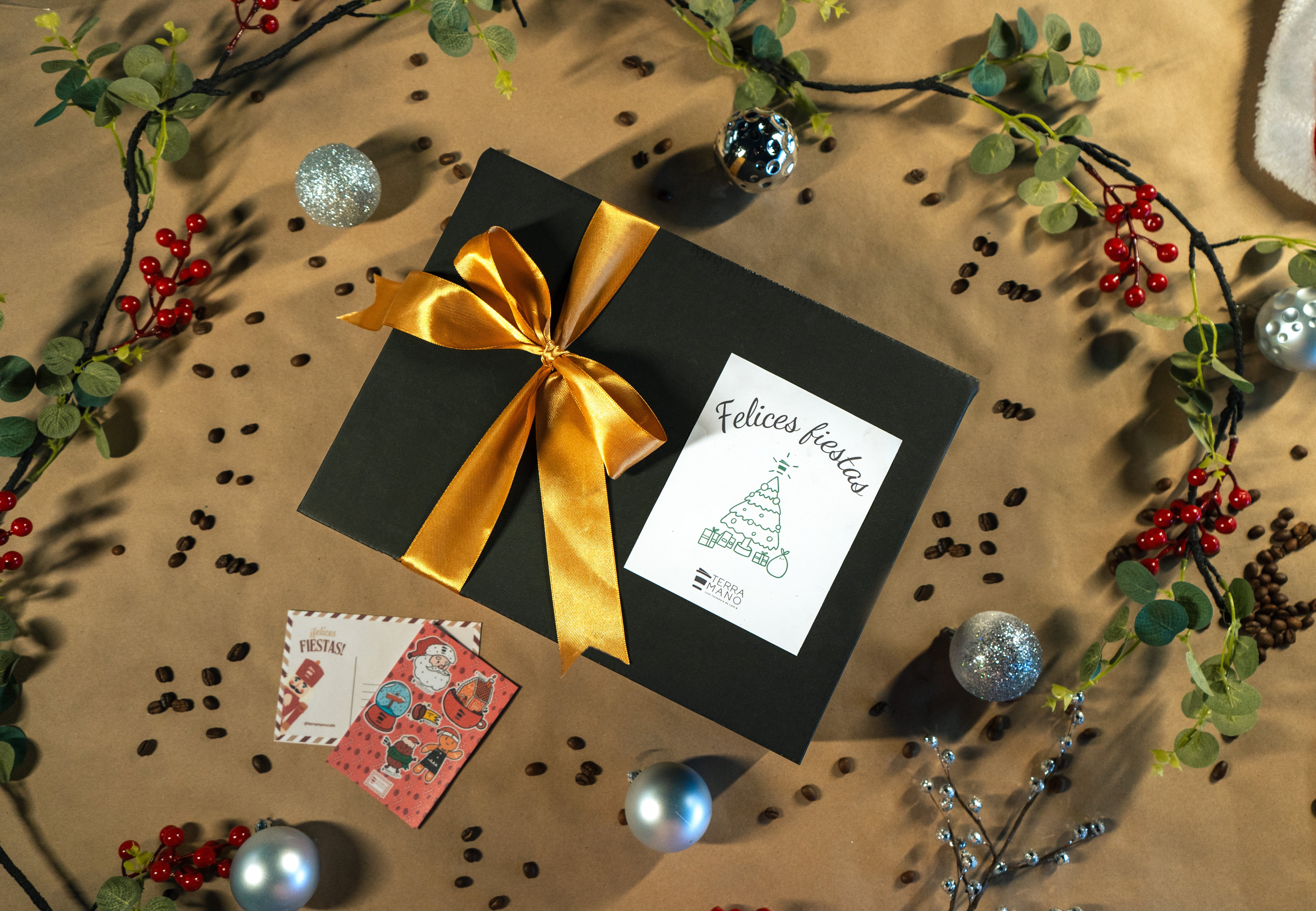CAJA NAVIDEÑA TERRA MANO