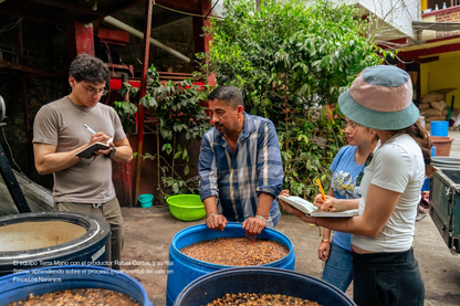 Los Naranjos OG, Café de especialidad
