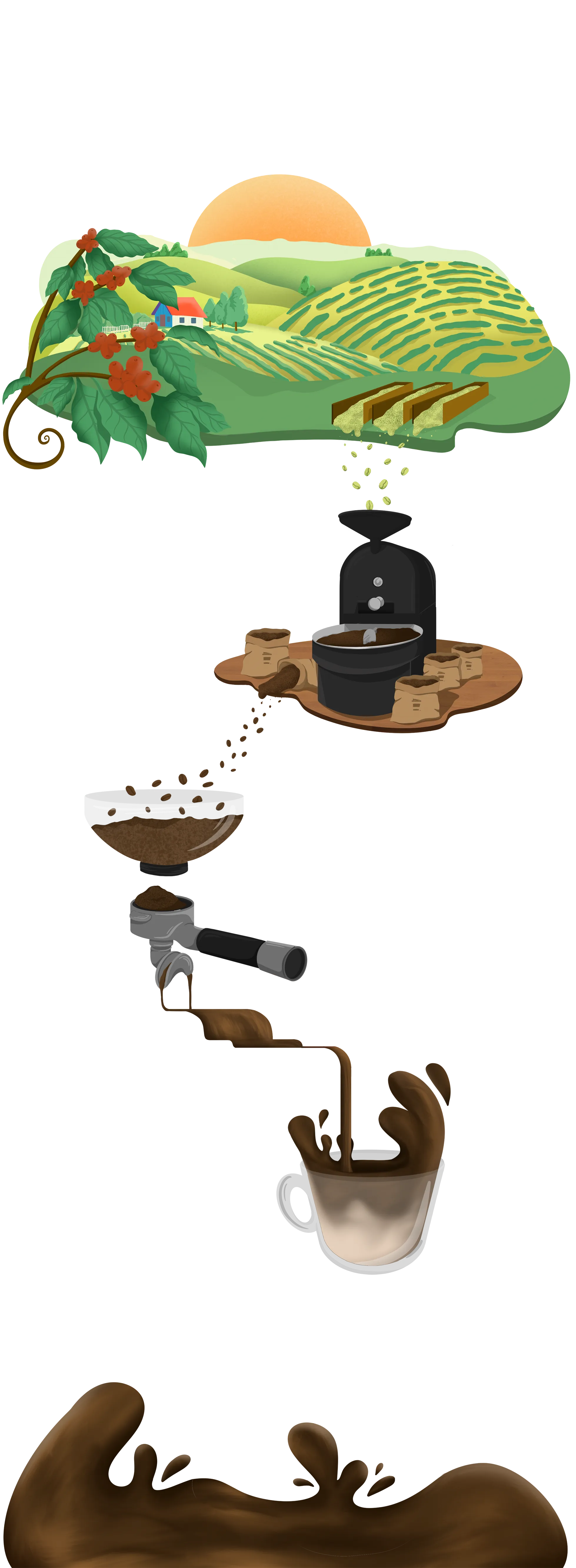 Terra a Mano - Café de especialidad