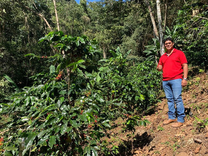 Finca Estancia Funky, Café de Especialidad