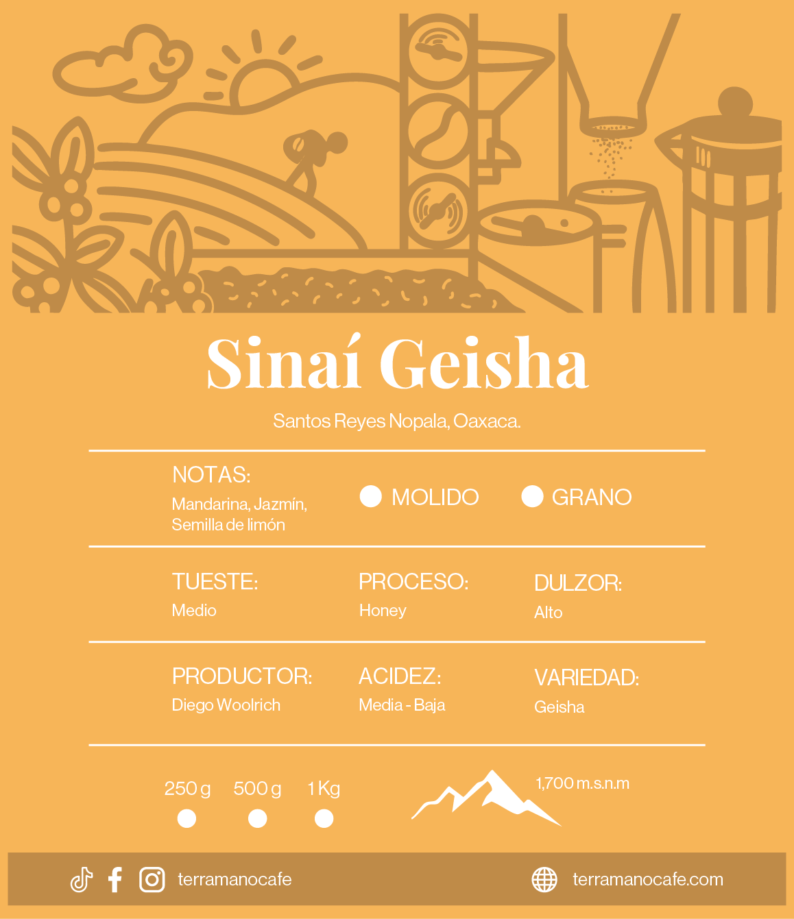 Finca Sinaí Geisha, Café de Especialidad