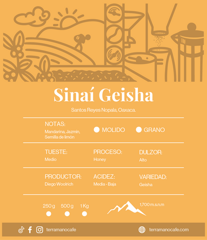 Finca Sinaí Geisha, Café de Especialidad
