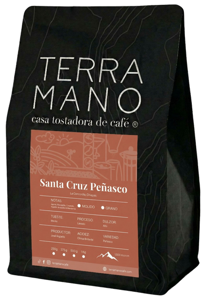Santa Cruz Peñasco, Café de Especialidad