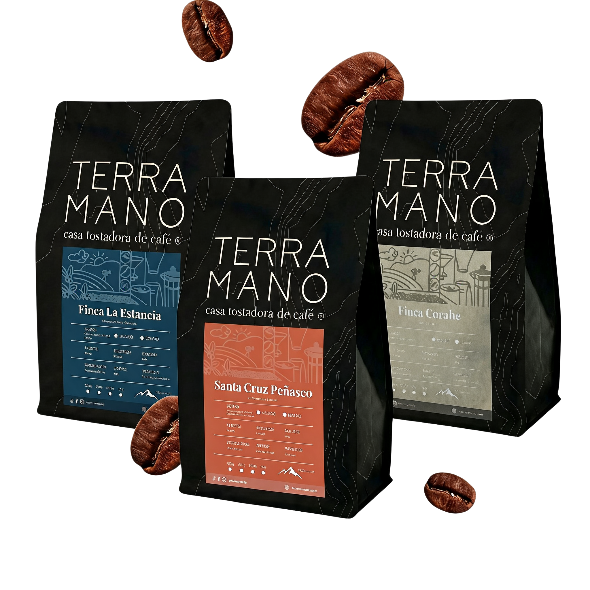 COMBO 1 - TERRA ANIVERSARIO🌟