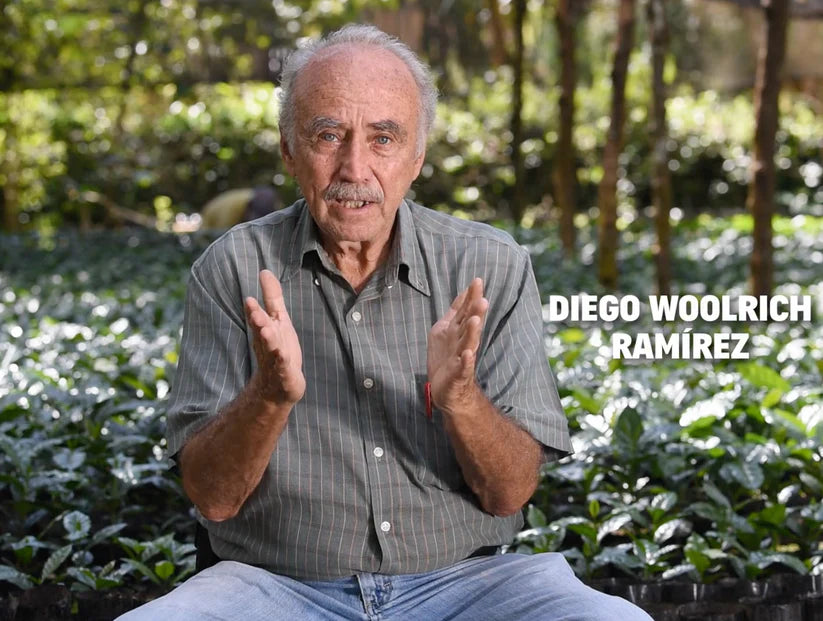 Finca Sinaí Geisha, Café de Especialidad