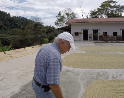 Finca Sinaí Black Honey, Café de Especialidad