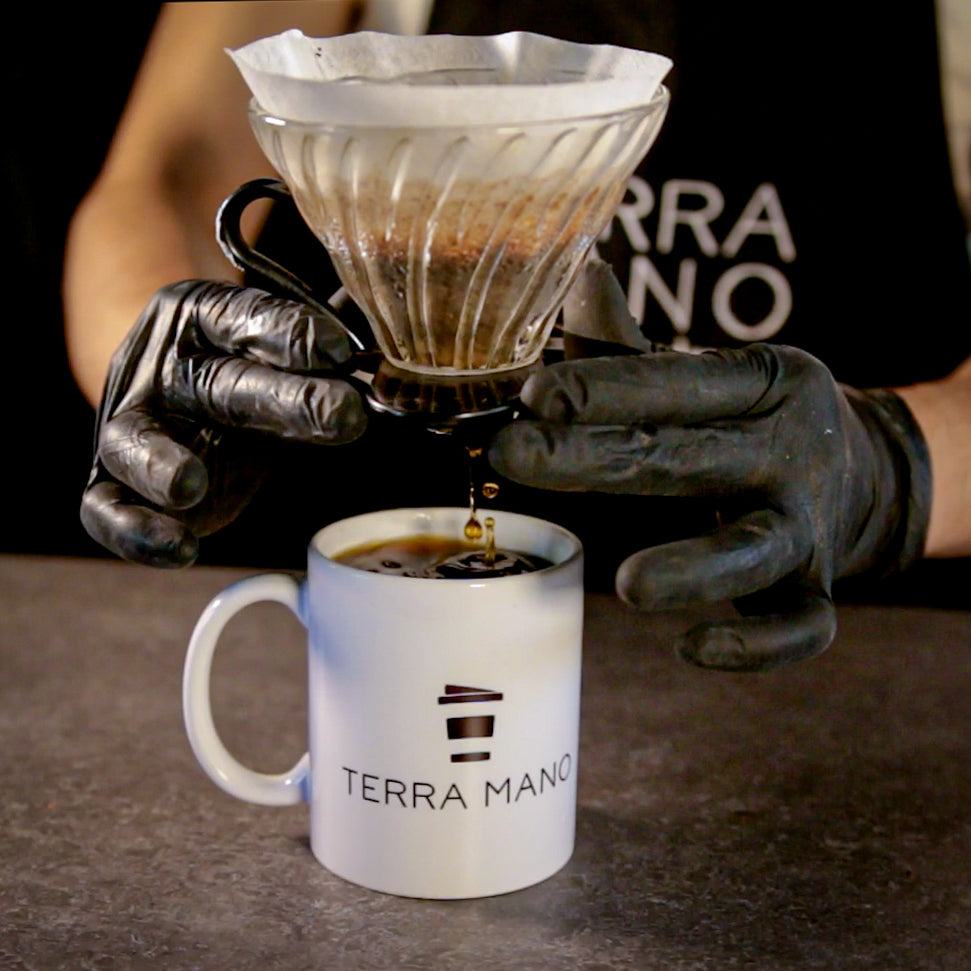 Hario V60 Cafetera de Plástico con filtros